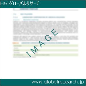 グローバルリサーチ調査レポートのイメージ